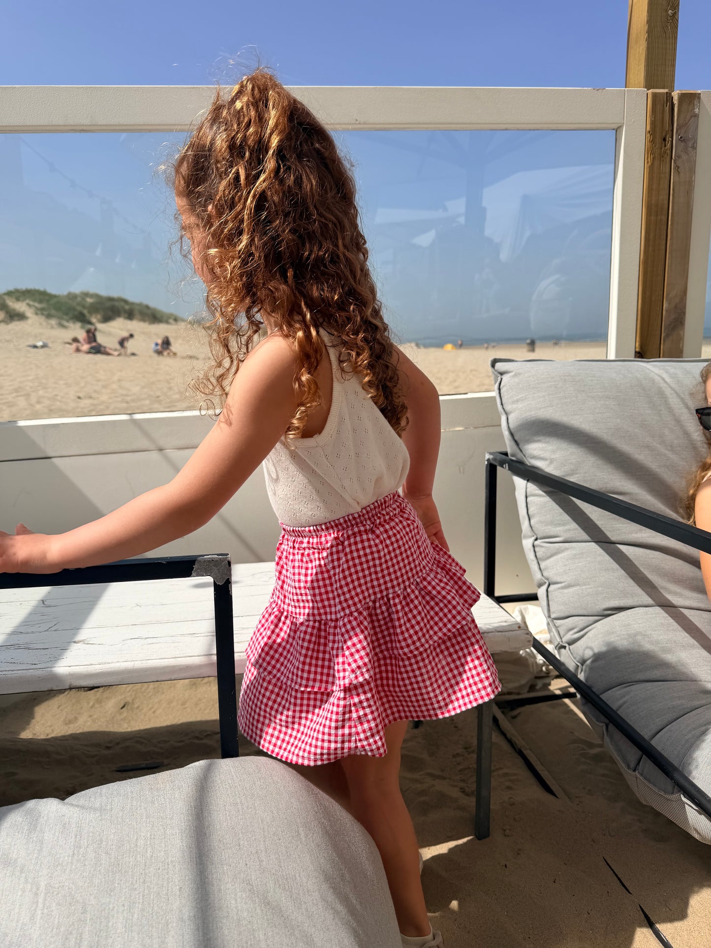Check skirt
