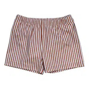 Slipstop Diaper Zwembroekje Cognac Stripe